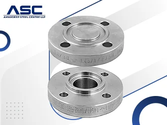 ASTM A182 Stainless Steel 317 SWRF Flanges